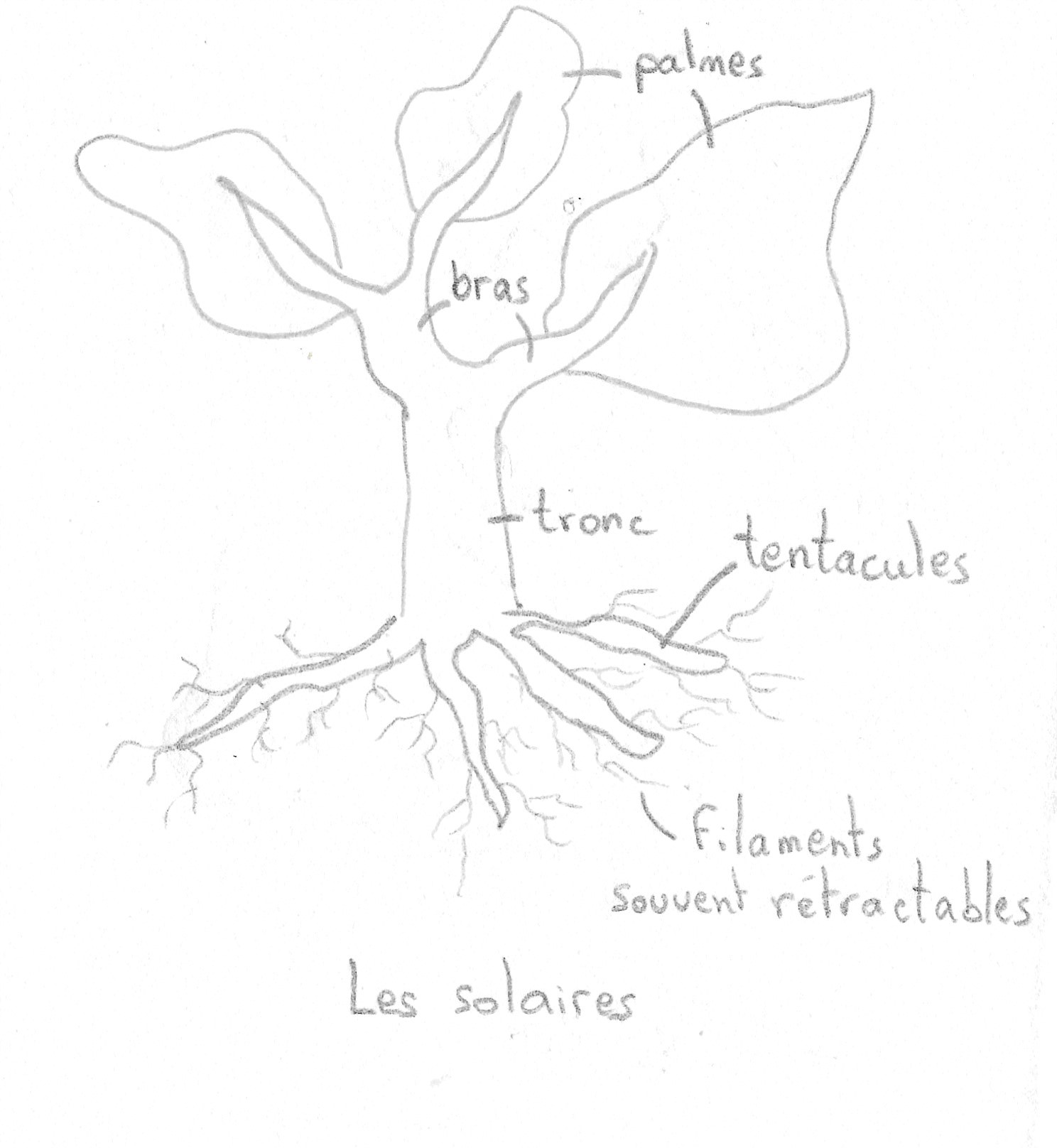 solaires bahikalimoun